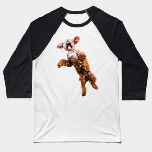 Mad Cockapoo Baseball T-Shirt